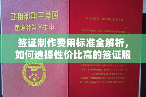 文峰签证制作费用标准全解析，如何选择性价比高的签证服务？